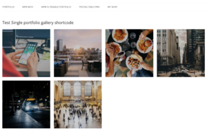 Portfolio gallery shortcode output.